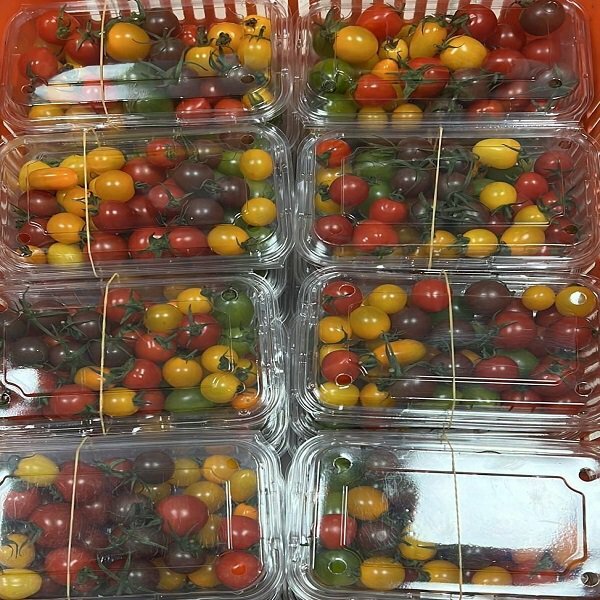 Local Organic Mixed Cherry Tomato (BAG)