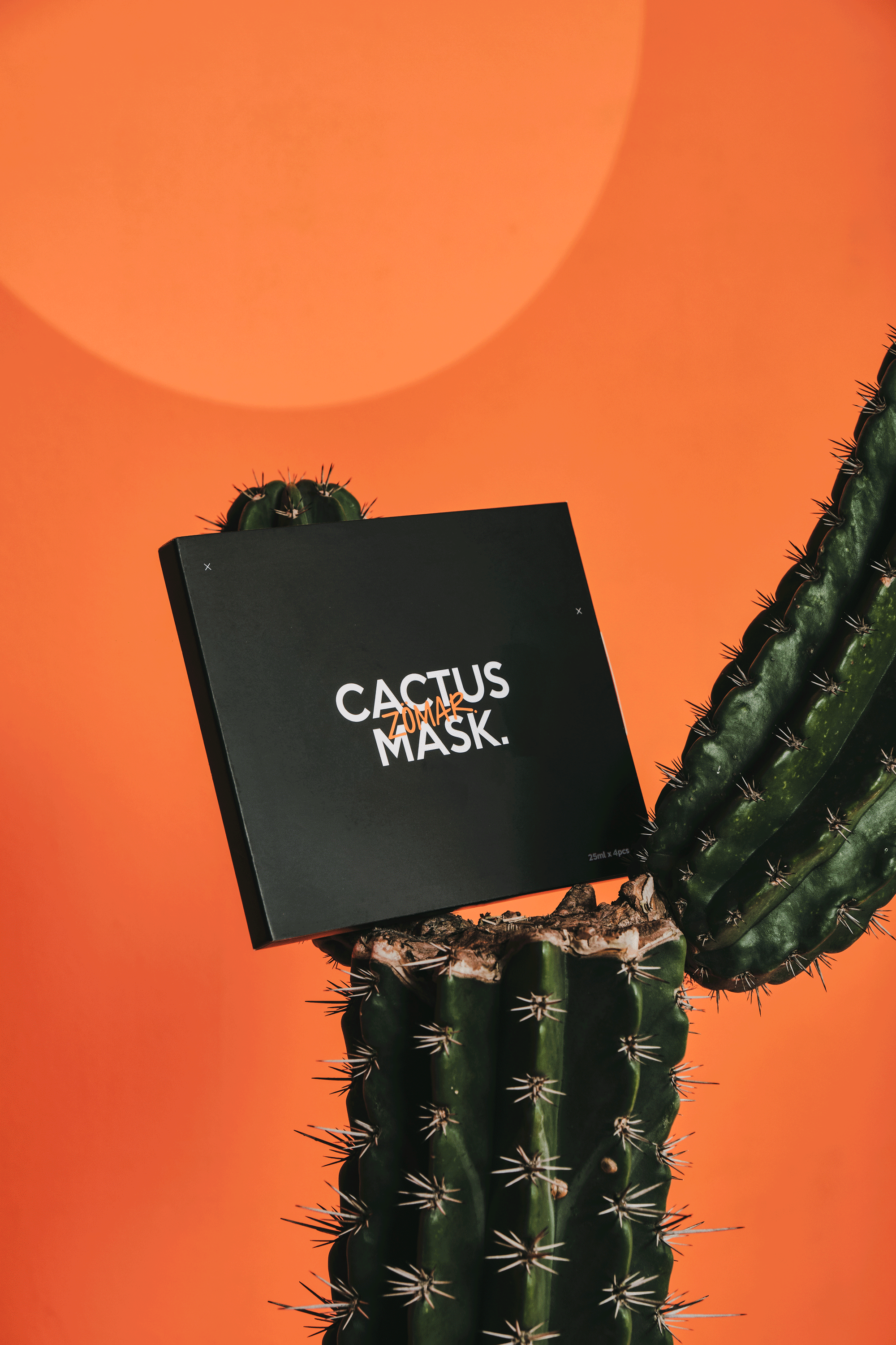 火掌植萃保濕面膜 CACTUS MASK