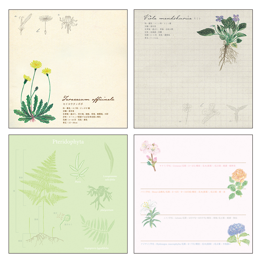 植物學 方形便條本 ｜日本STUDY HOLIC