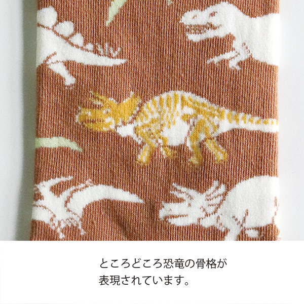 恐龍 古生物學 襪子 ｜日本STUDY HOLIC