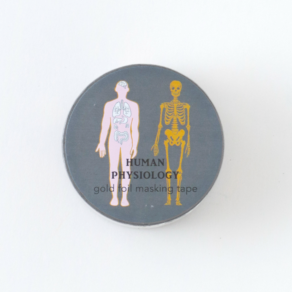 人體生物學 金箔 和紙膠帶 ｜日本STUDY HOLIC