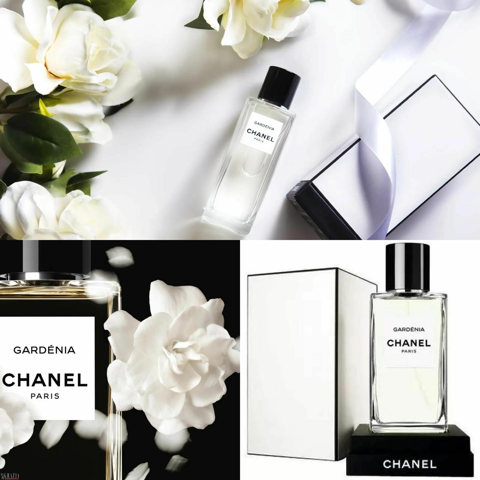 CHANEL GARDENIA 梔子花75ML