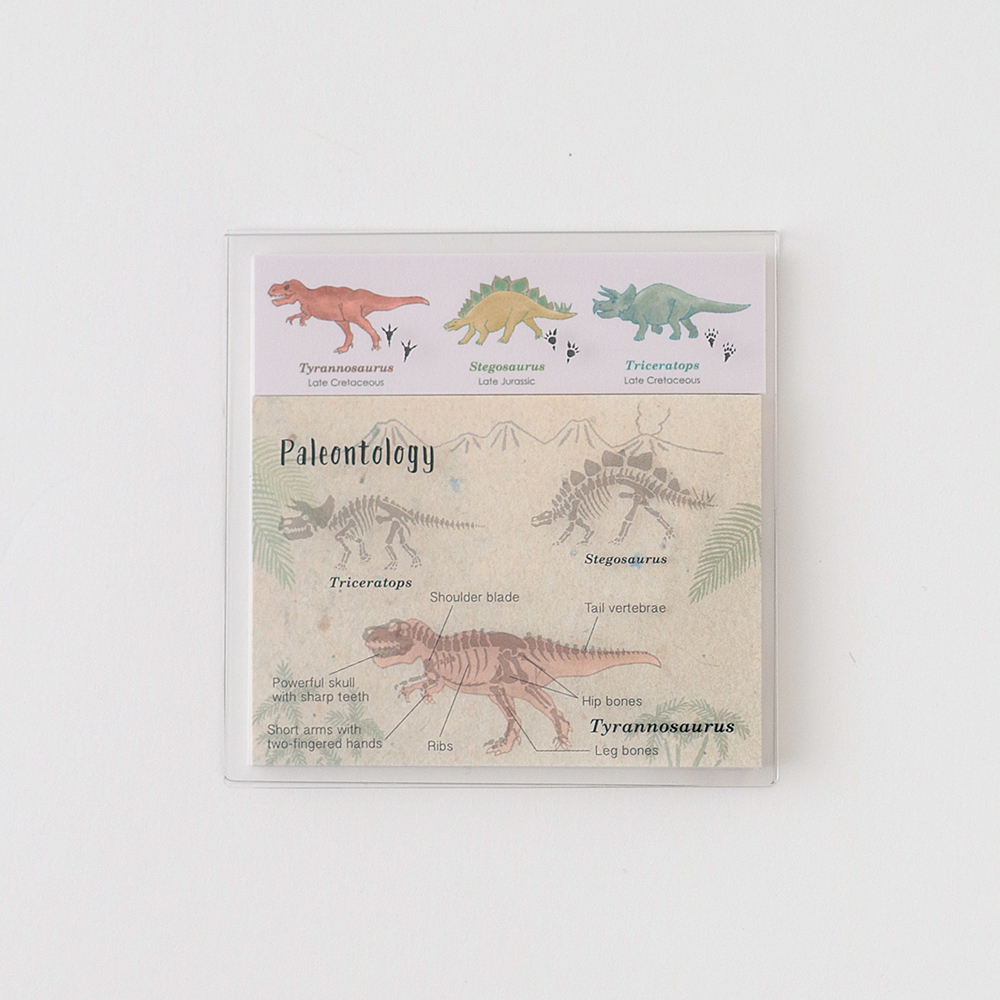 恐龍 古生物學 40枚便利貼 MEMO ｜日本STUDY HOLIC