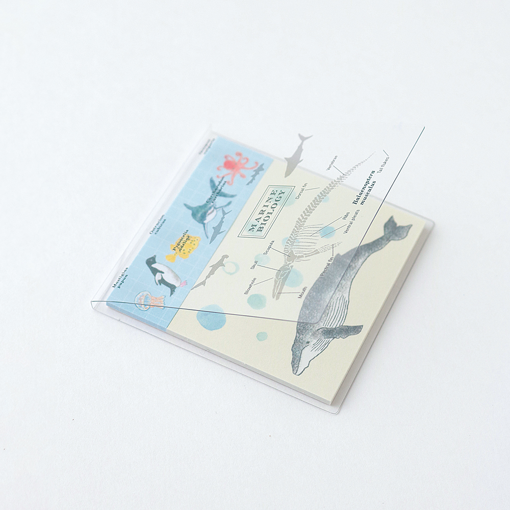 海洋生物學 40枚便利貼 MEMO ｜日本STUDY HOLIC