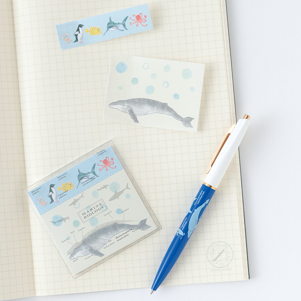 海洋生物學 40枚便利貼 MEMO ｜日本STUDY HOLIC