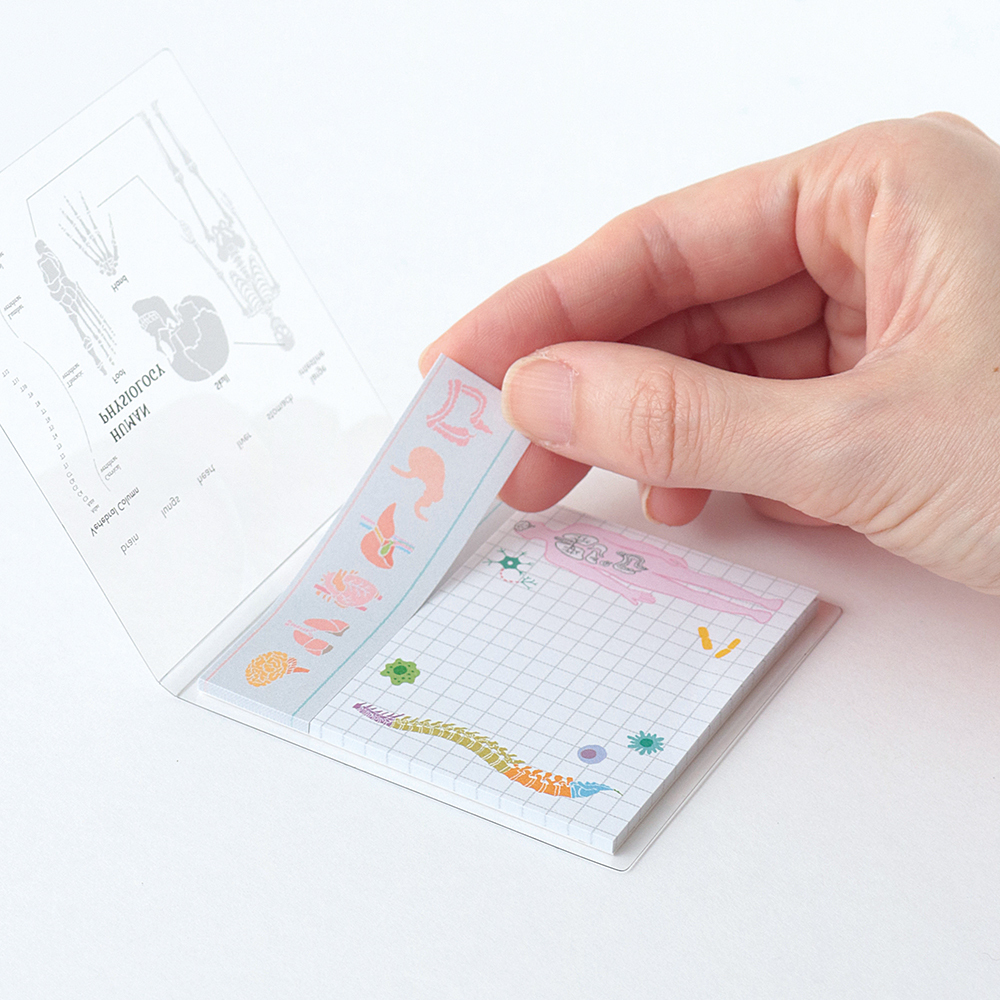 人類生物學 40枚便利貼 MEMO ｜日本STUDY HOLIC