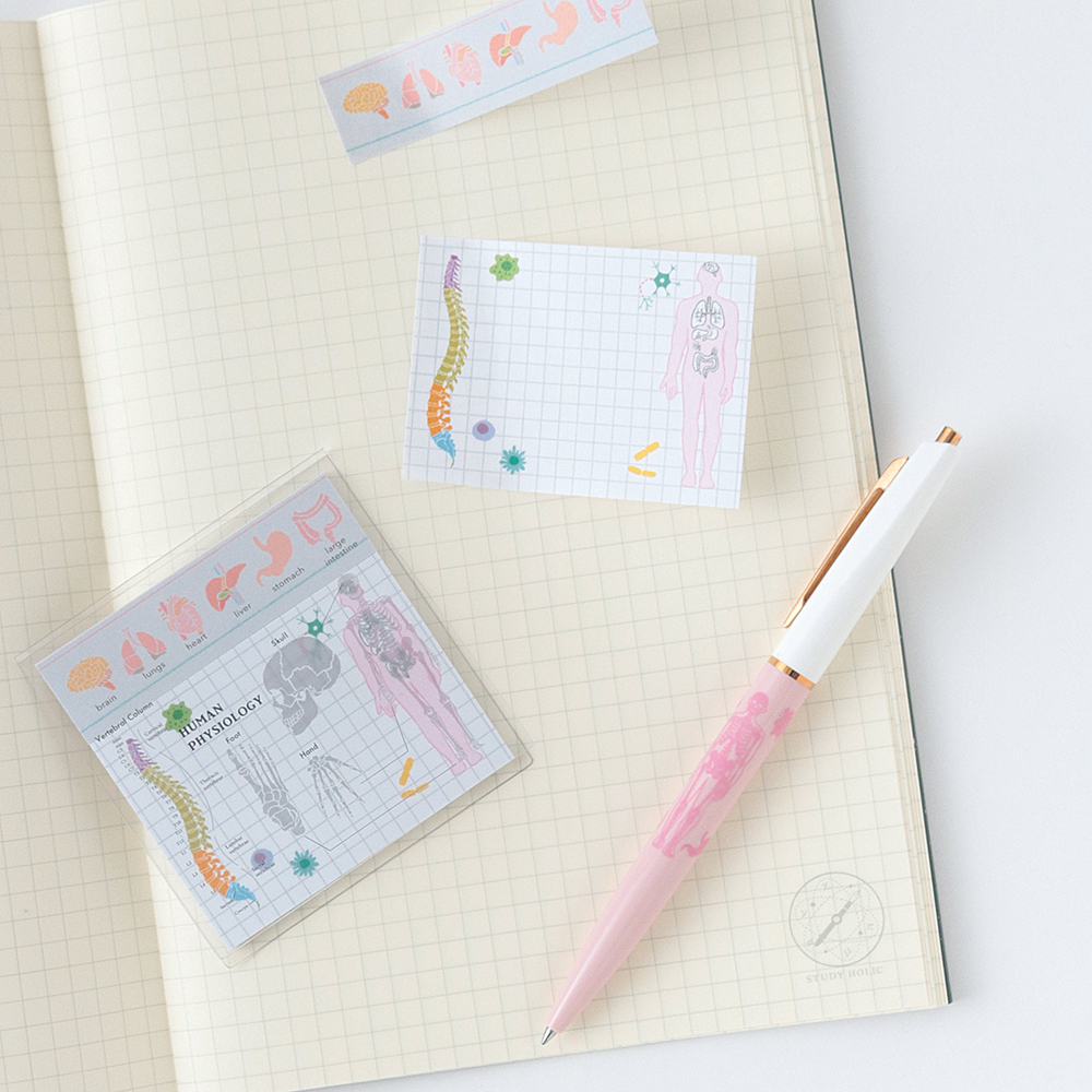 人類生物學 40枚便利貼 MEMO ｜日本STUDY HOLIC