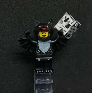 [Earthly Brick] 黑蝙蝠