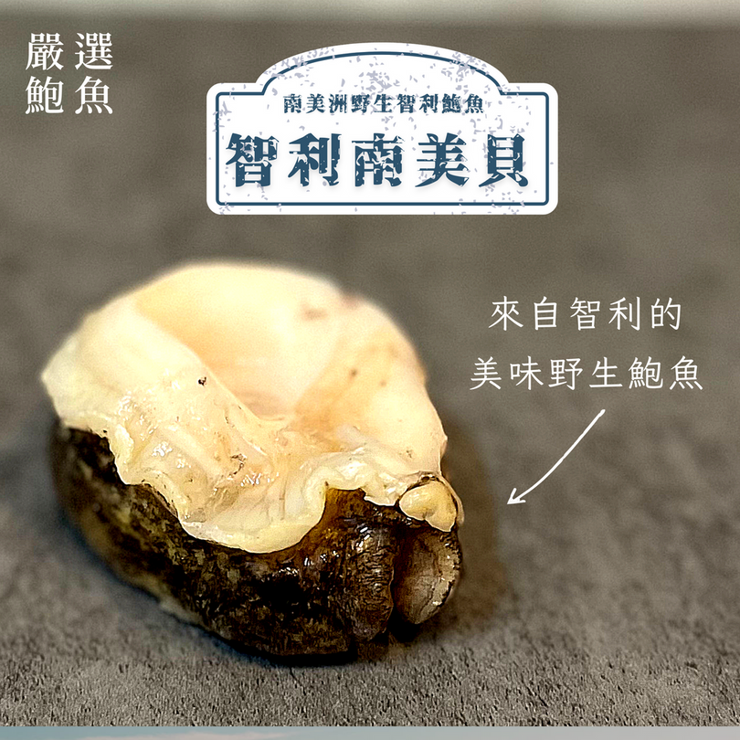 智利南美貝 (嚴選鮑魚)