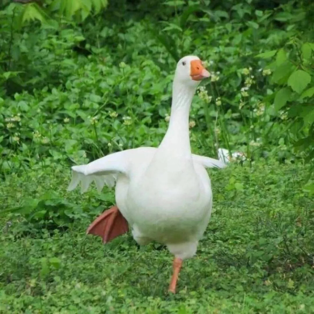 多规格缺货可结单