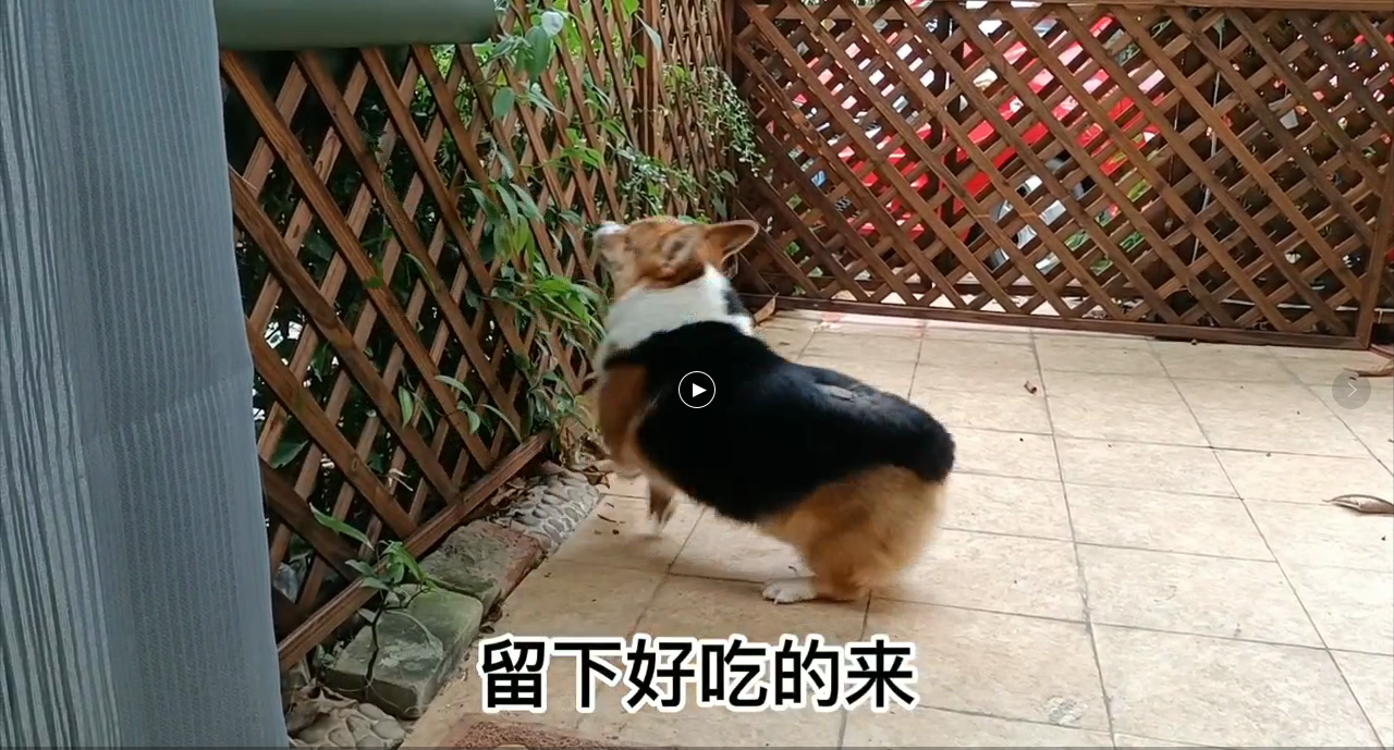 无规格缺货可结单