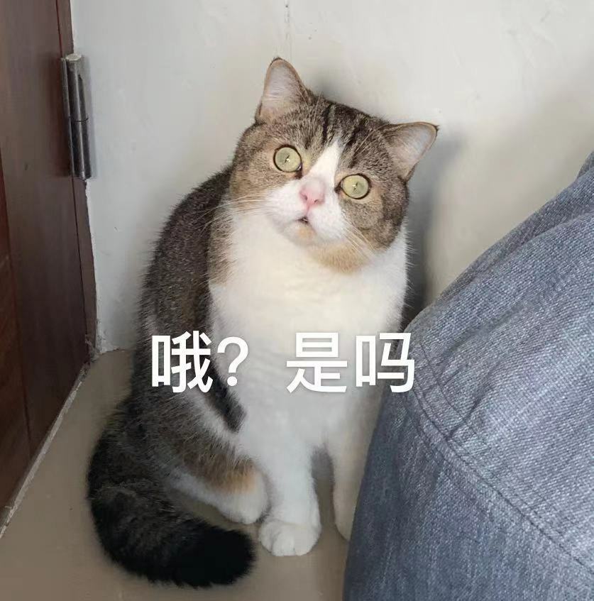 前台商店的缺货可接单