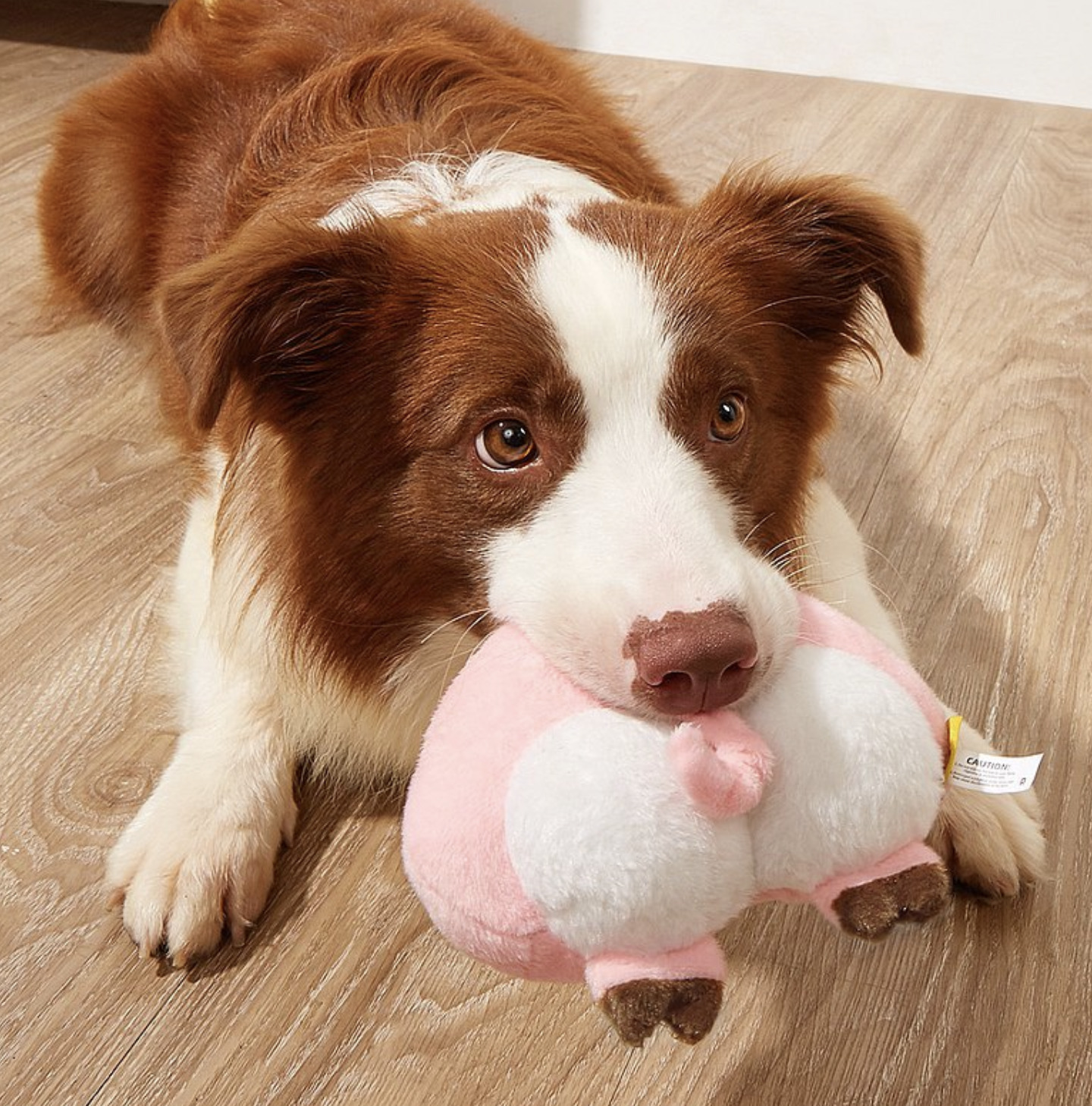 Petsville派思維 - 毛絨發聲屁股造型玩具