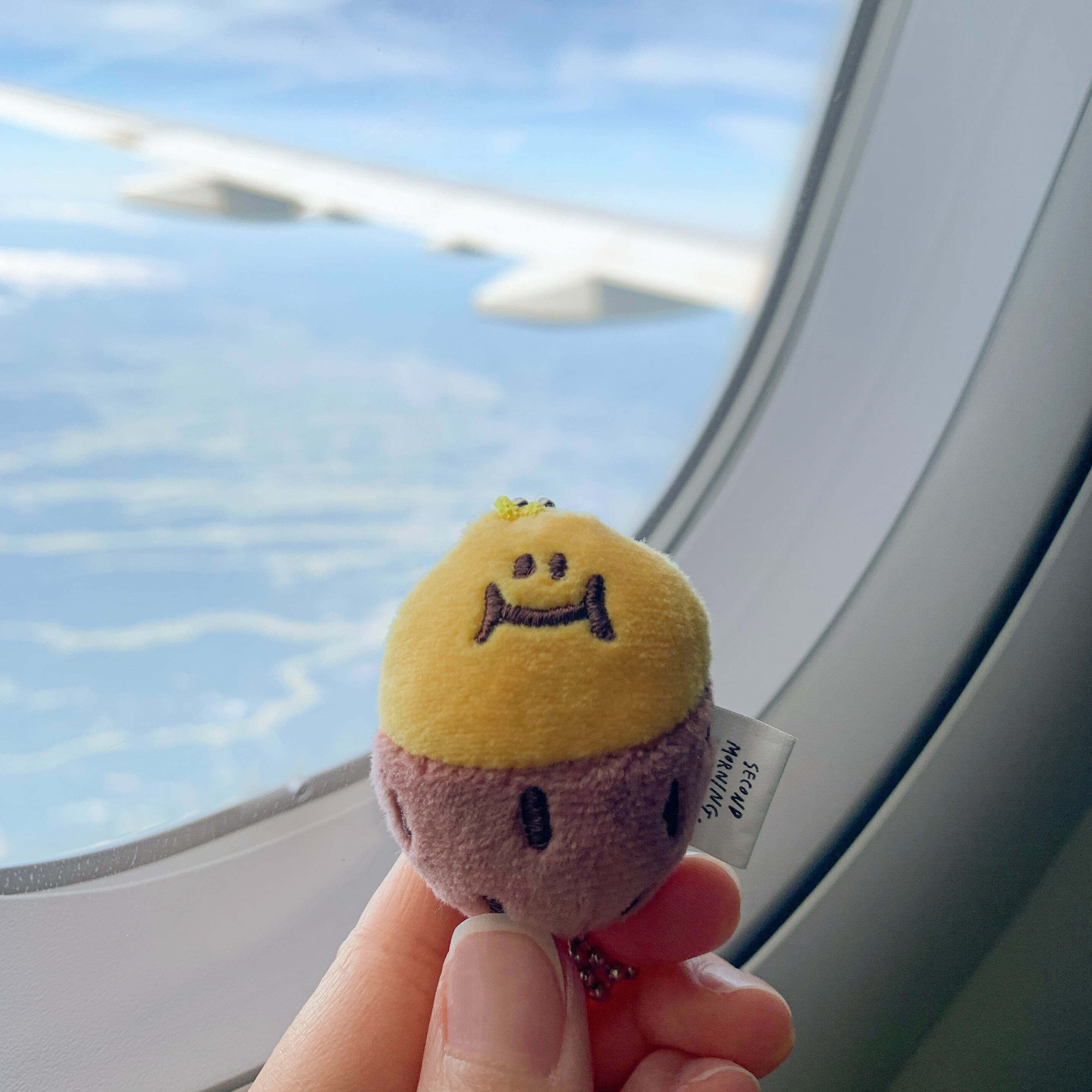 Second Morning - BABY SEMO KEYRING｜蕃薯仔