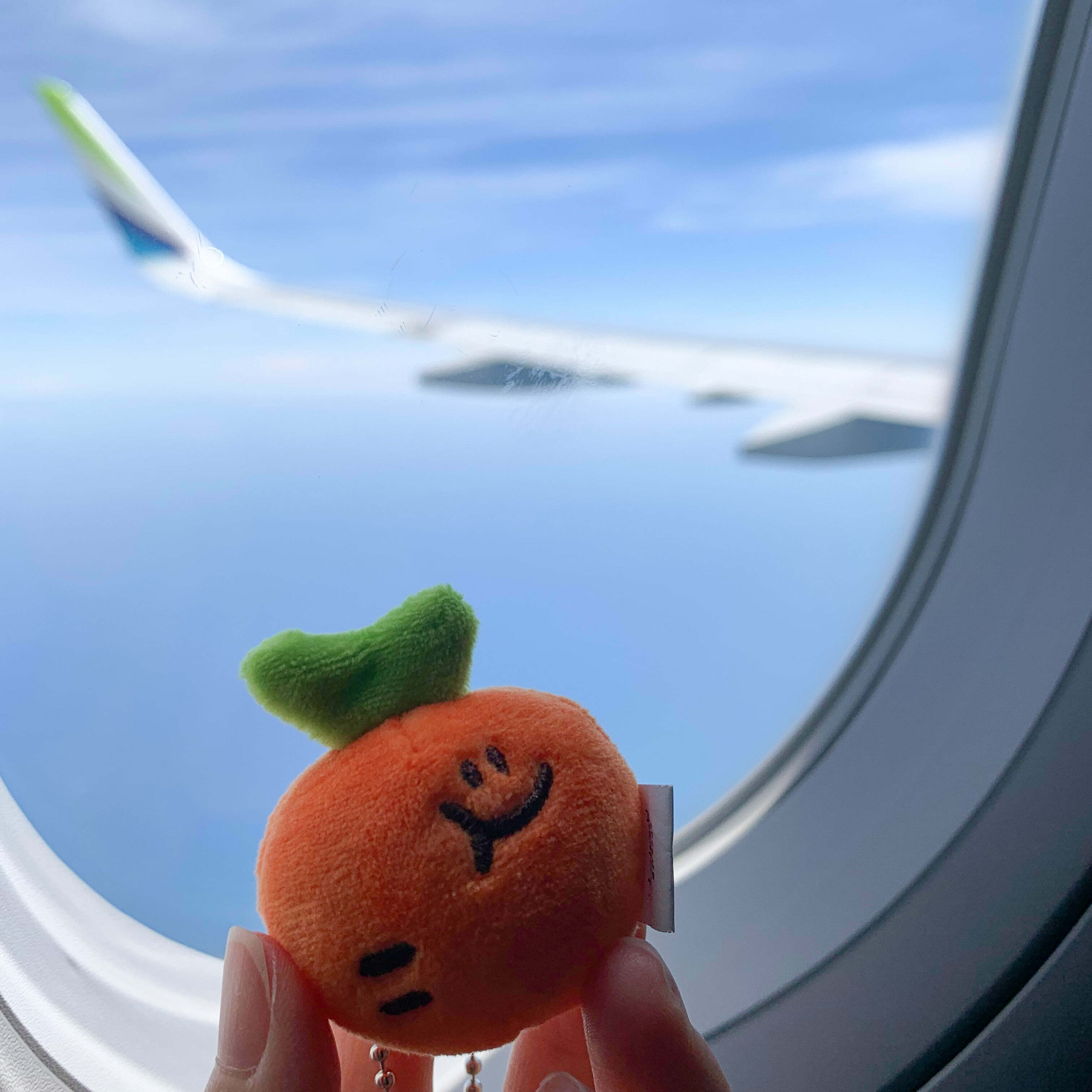 Second Morning - BABY SEMO KEYRING｜紅蘿蔔