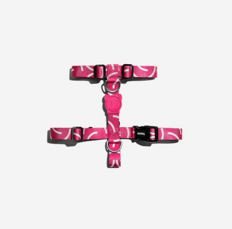 Zee Dog - H Harness - NARA