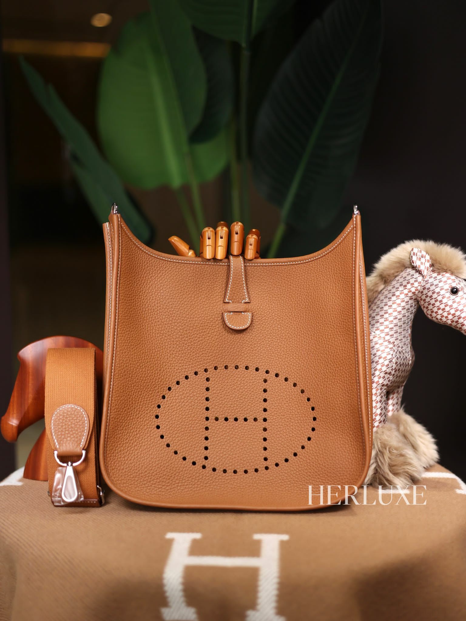 Evelyne 29 37 gold ck tc W