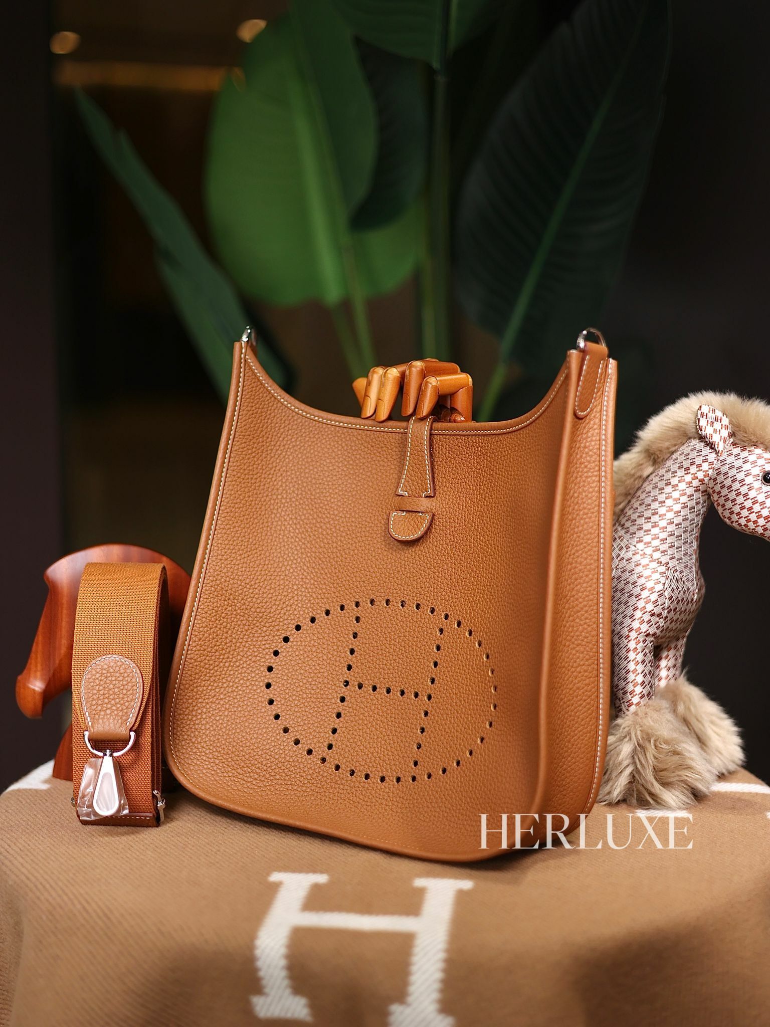 Evelyne 29 37 gold ck tc W