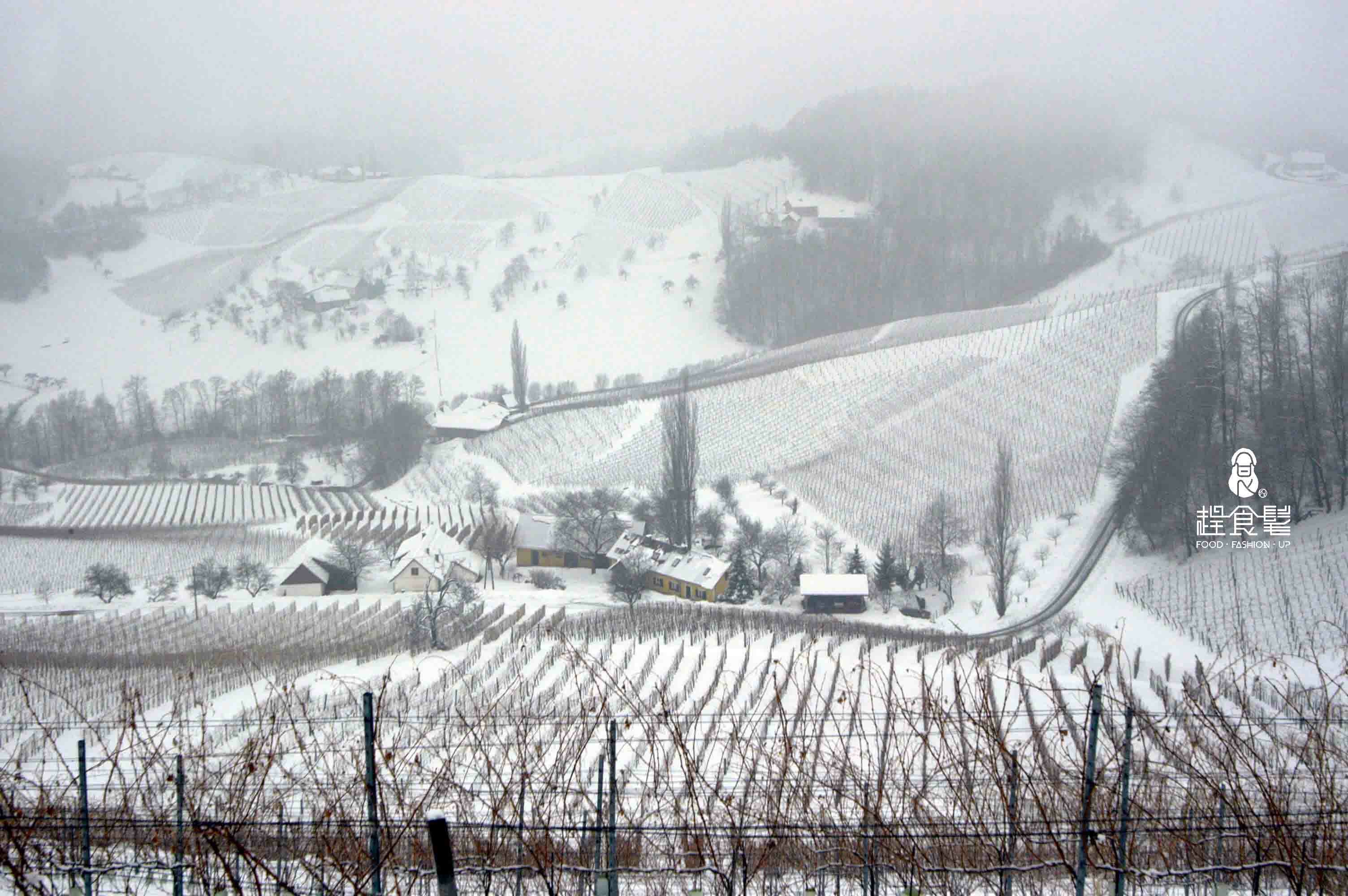 趕食髦_食髦酒窖 被大冰雪覆蓋的葡萄莊園