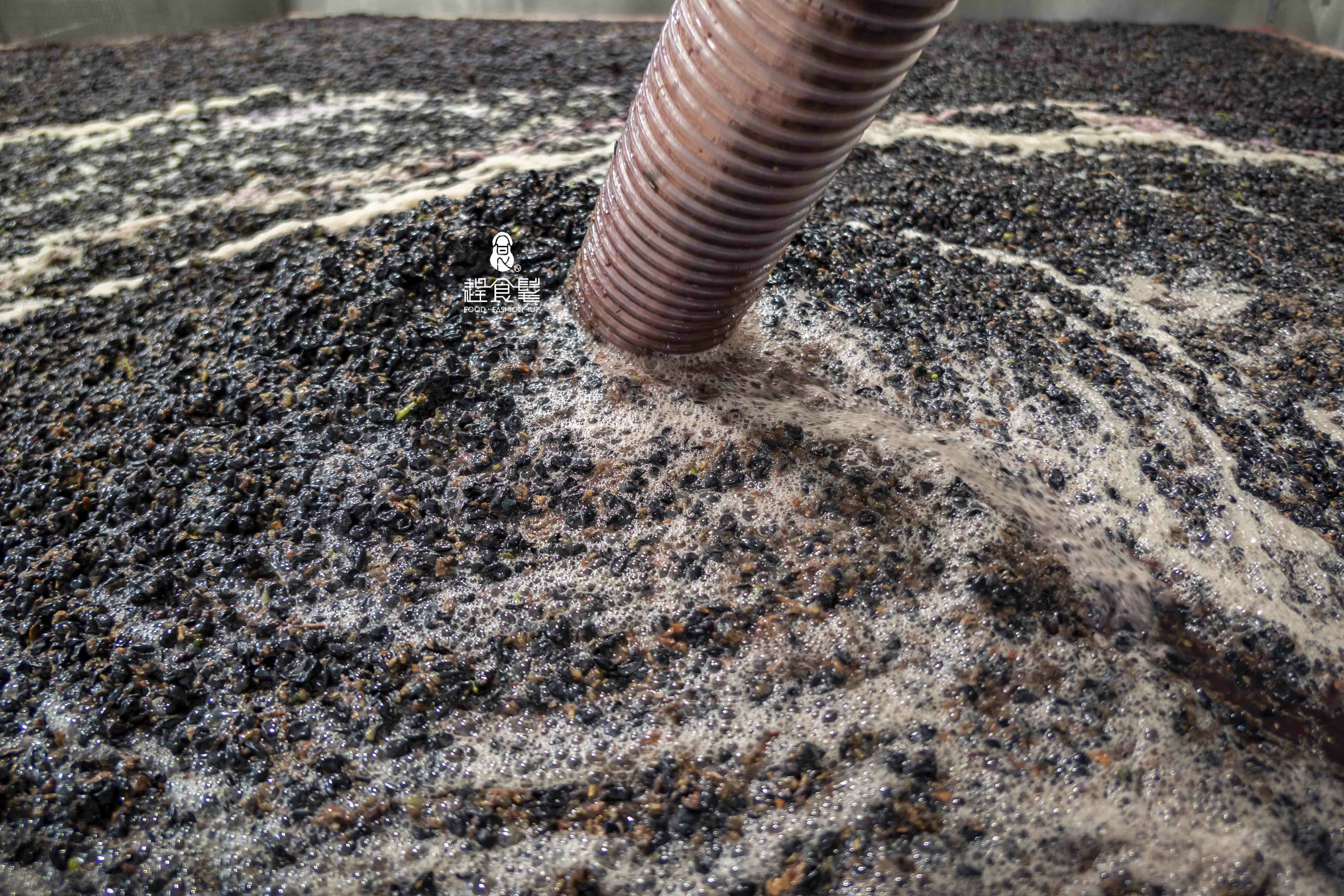 趕食髦_食髦酒窖 將凍葡萄及其汁液準備進行後續的發酵 加拿大詩樽酒莊