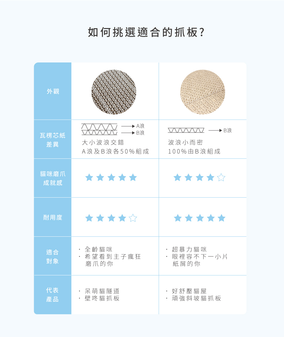 台灣 Angle Wave 呆萌貓隧道