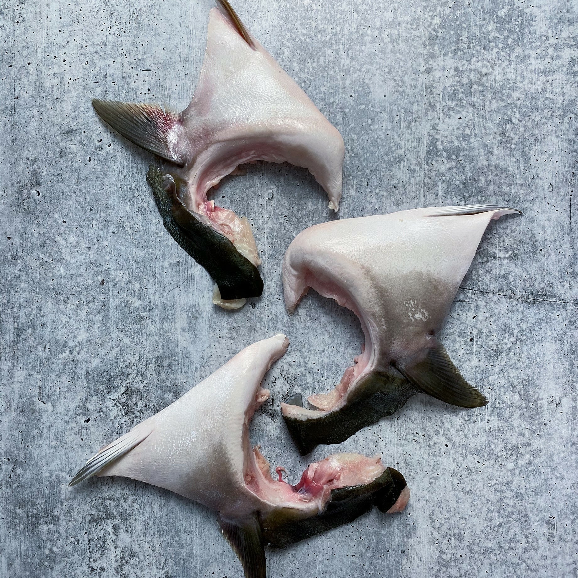 日本油甘魚鮫 (2-3件) 約300-350g