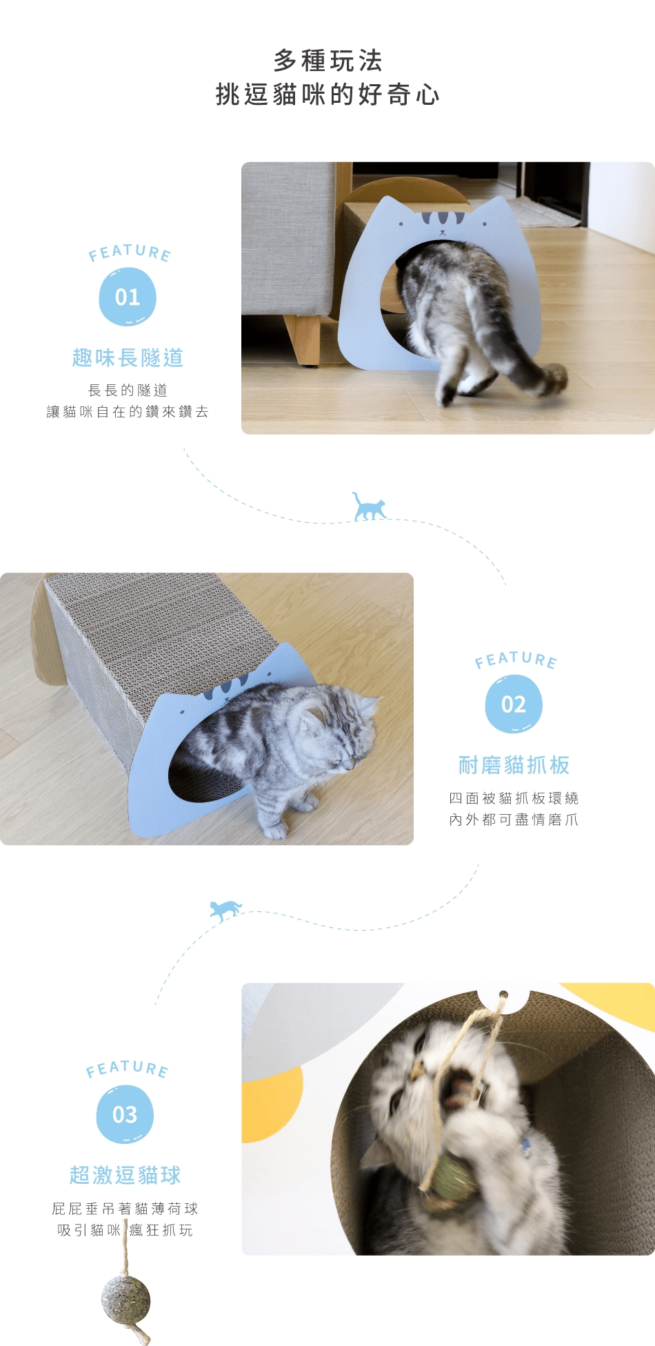 台灣 Angle Wave 呆萌貓隧道 (虎斑藍)