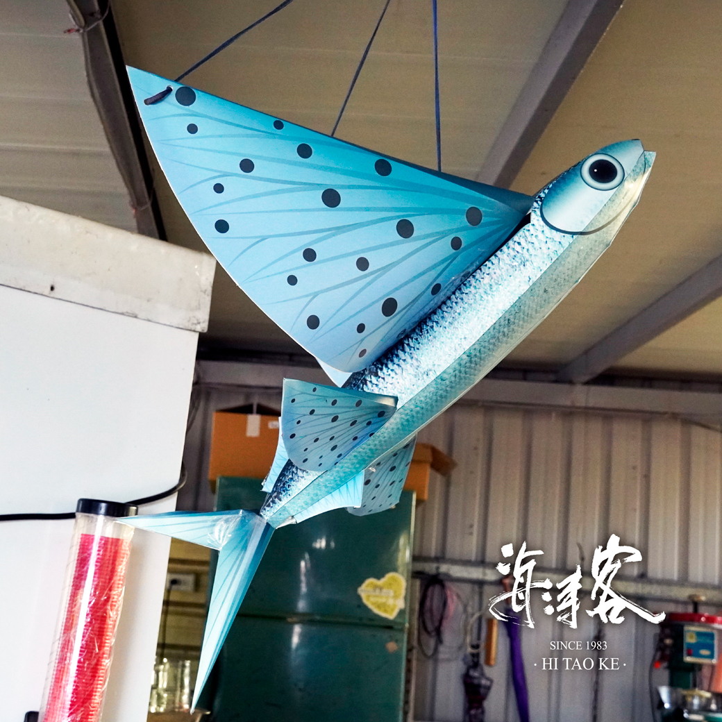 部落格-為什麼叫飛烏