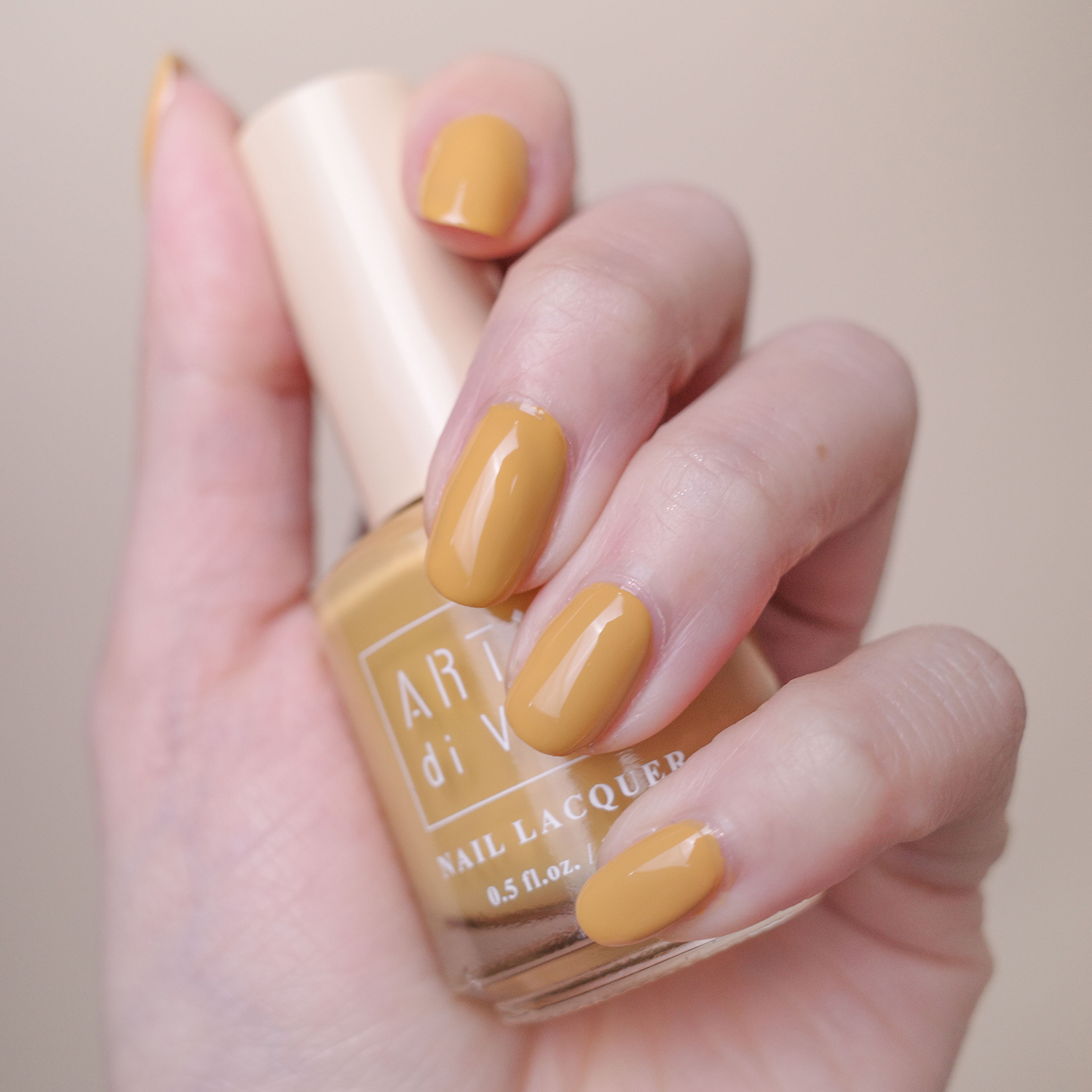 ARTiS di Voce 彩色指甲油 LC29