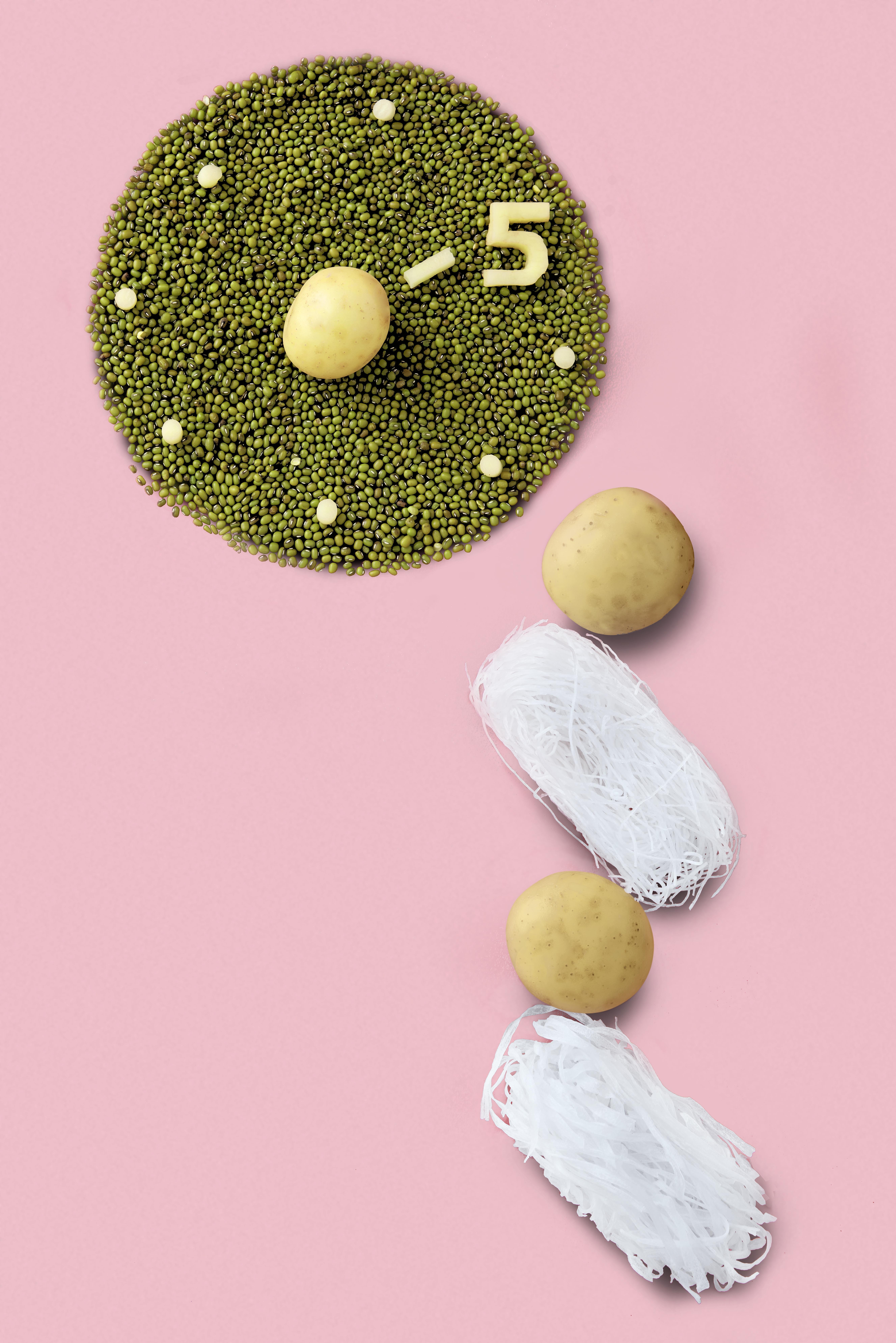 龍口粉絲(快煮型)十二把裝