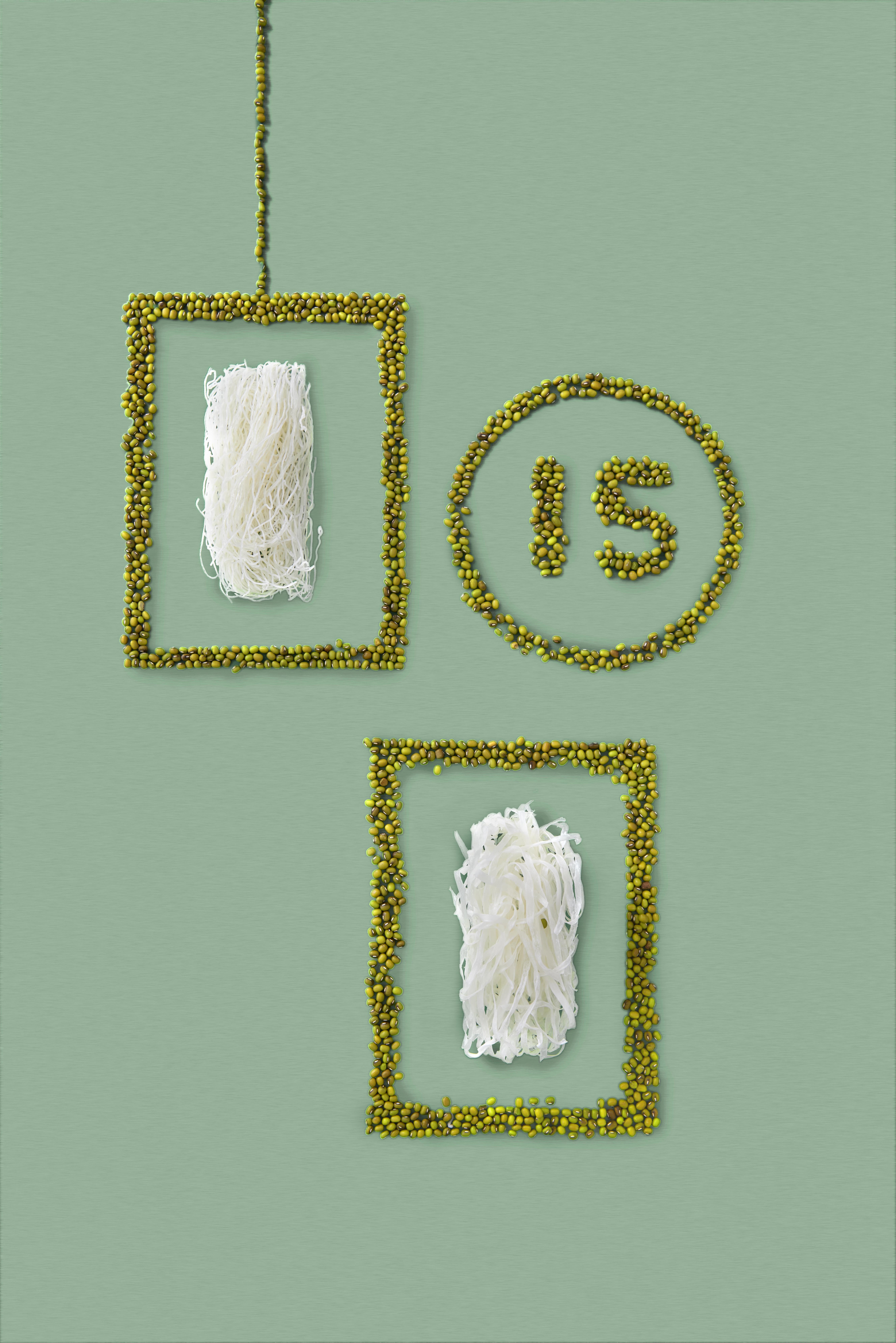 龍口純翠粉絲五把裝