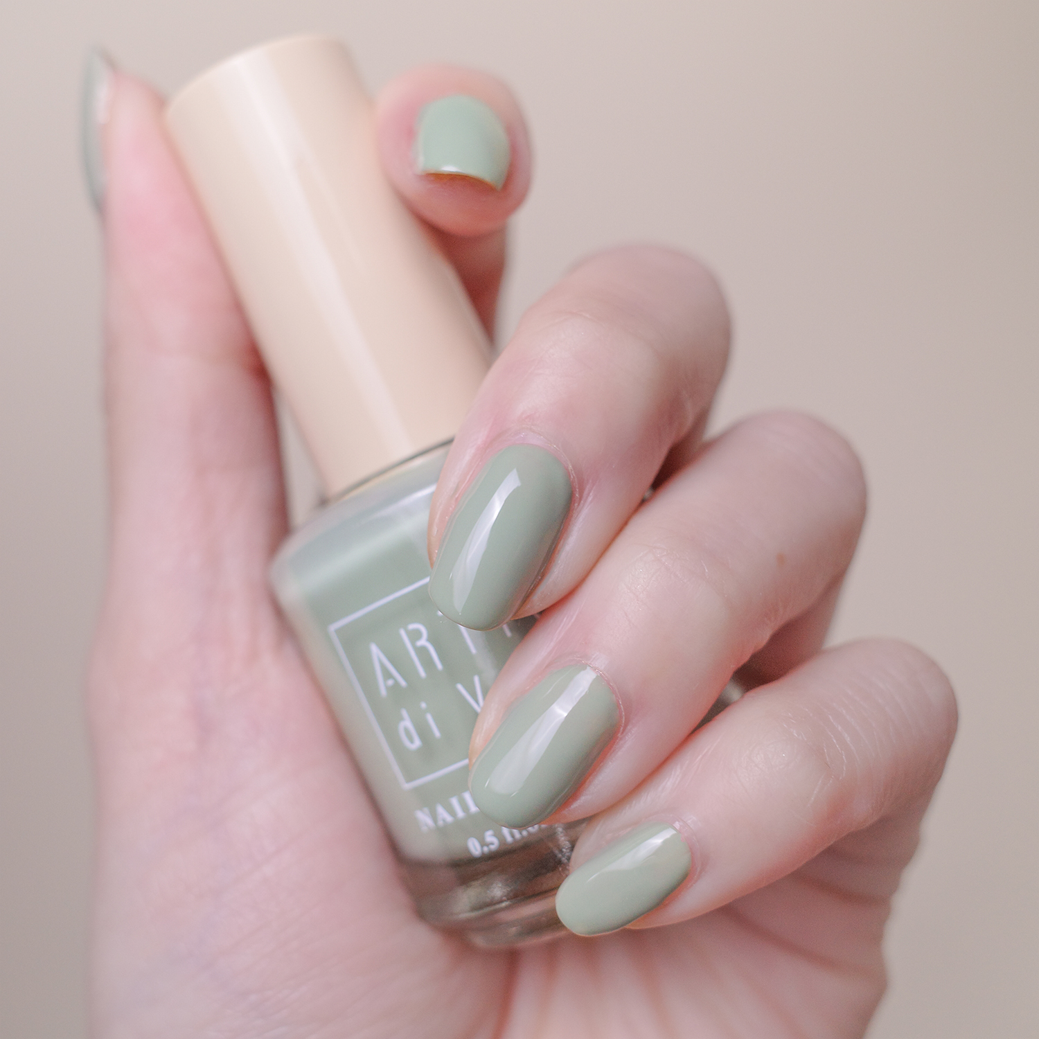 ARTiS di Voce 彩色指甲油 LC45