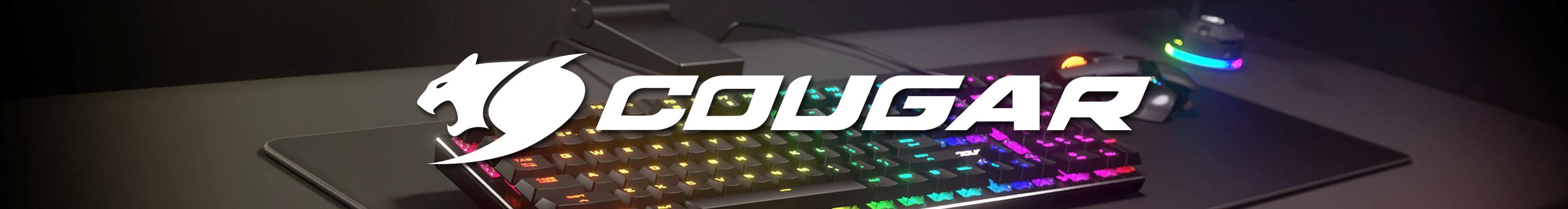 <img src="PCHOT-COUGAR-美洲獅-電競館.jpeg" alt="PCHOT-COUGAR-美洲獅-電競館">