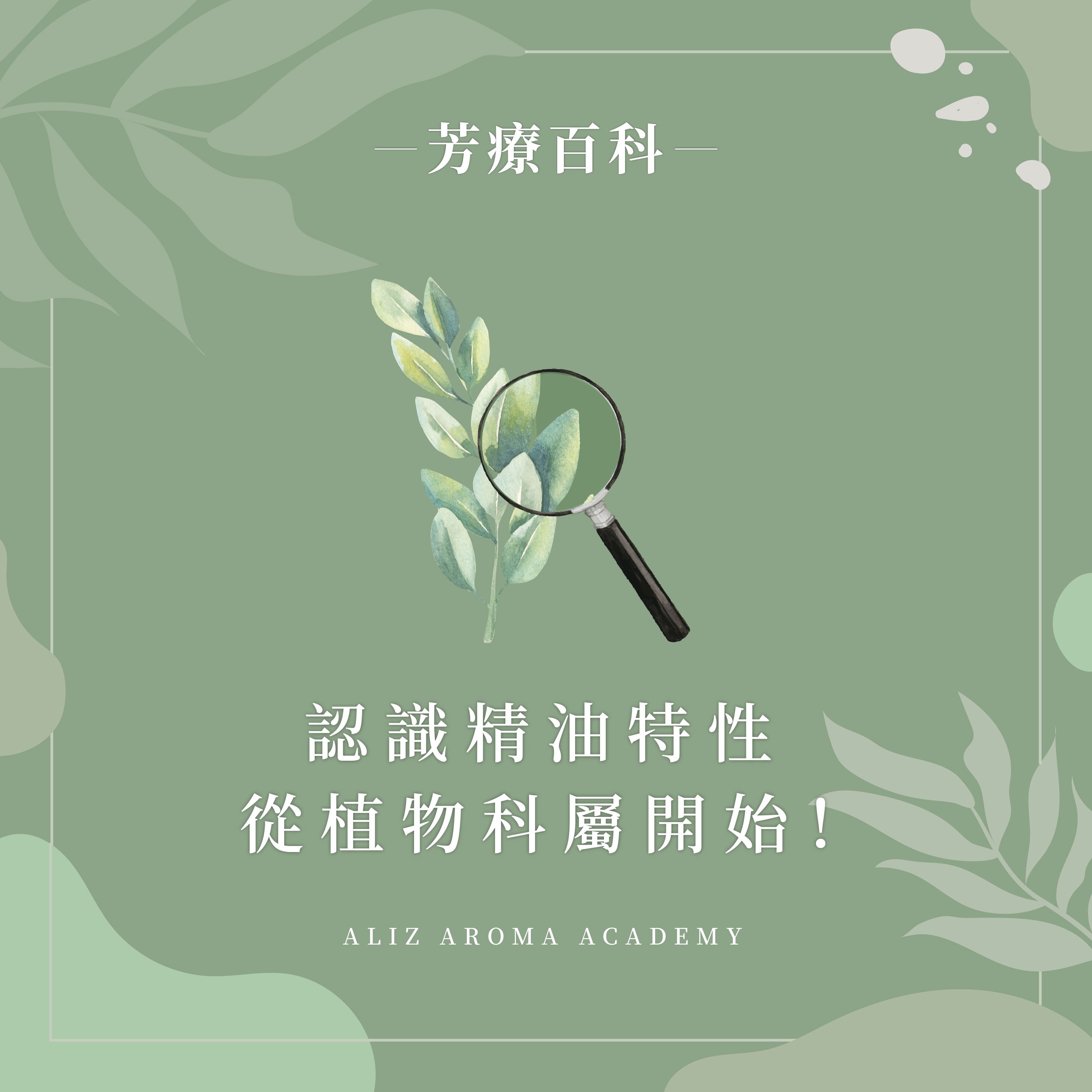 認識精油特性從植物科屬開始