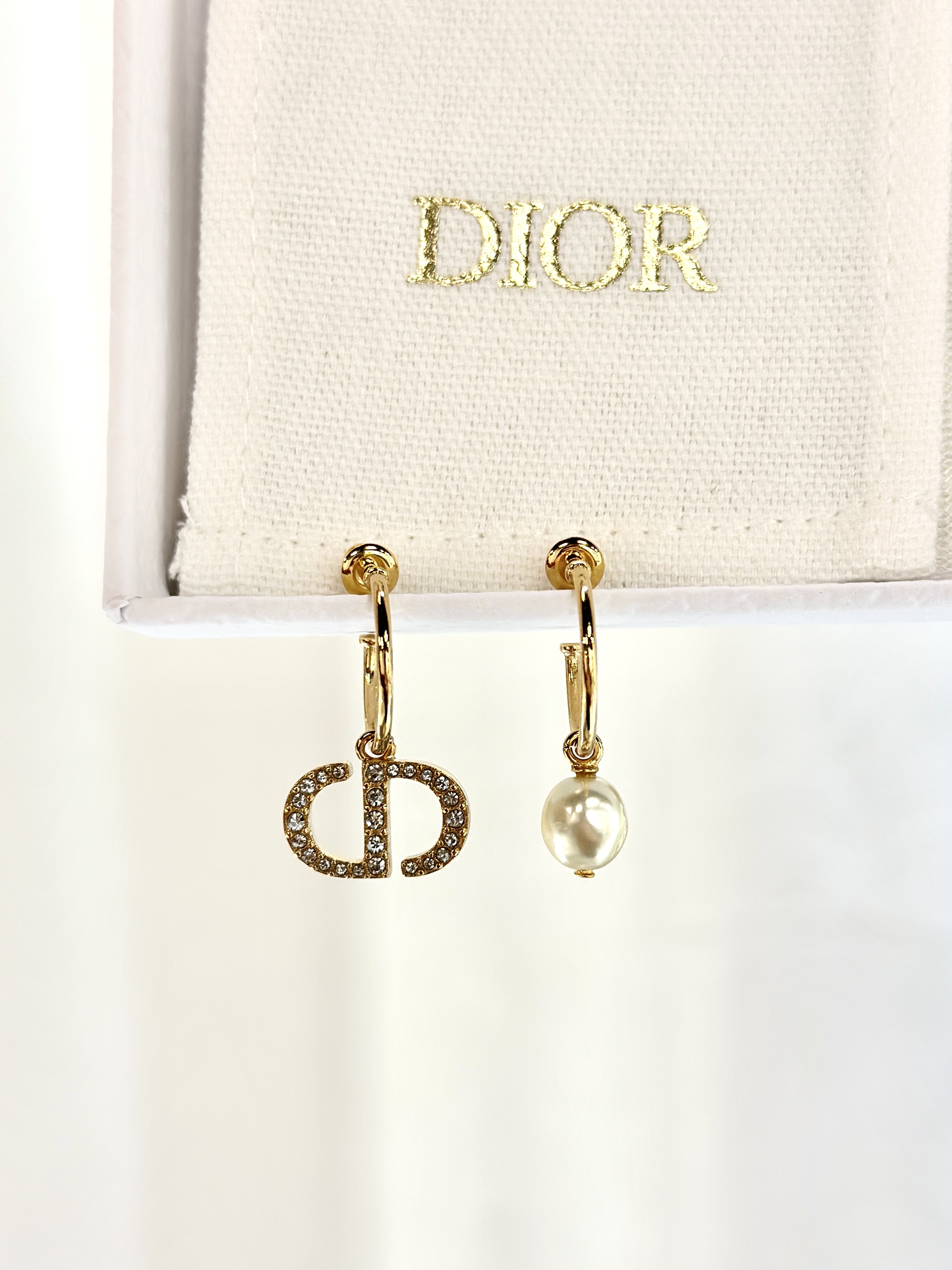 DIOR Petit CD Earrings E1548