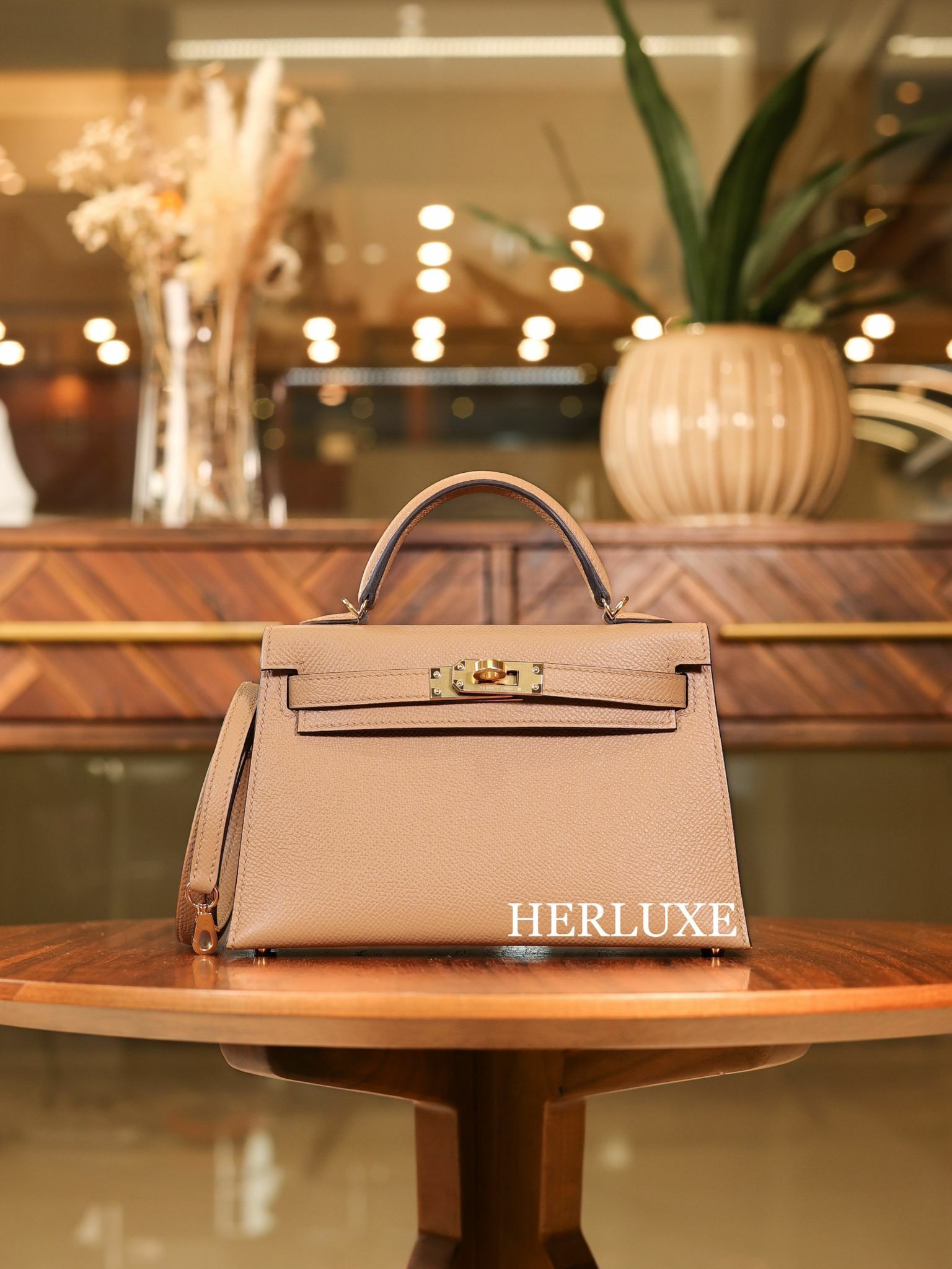 Kelly mini II 0M chai cc epsom W