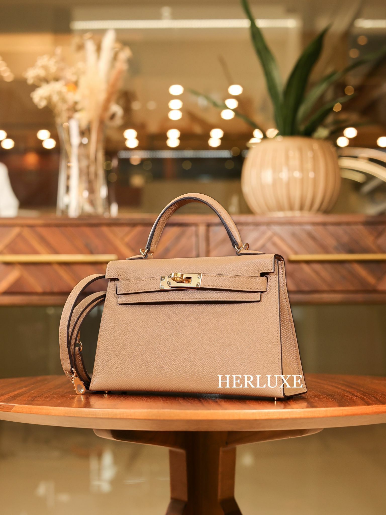 Kelly mini II 0M chai cc epsom W