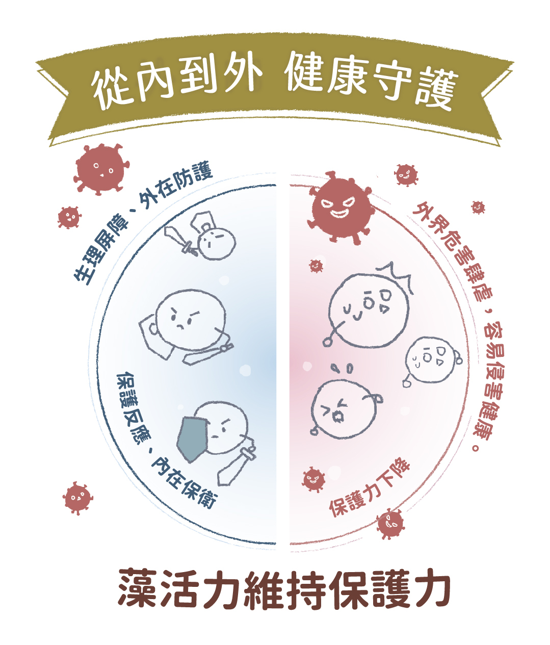 從內到外，健康守護，維持保護力