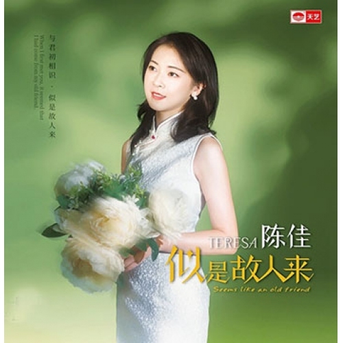 陳佳 - 似是故人來