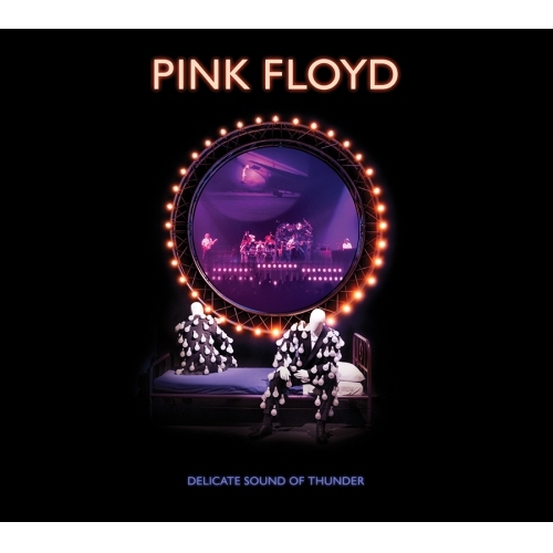 Pink Floyd - Delicate Sound Of Thunder: Remastered 2CD/DVD/BLURAY