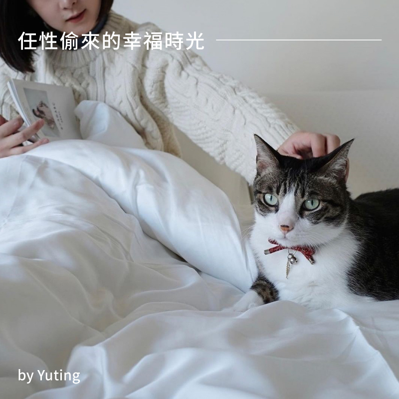 Lagomer提案 Yuting