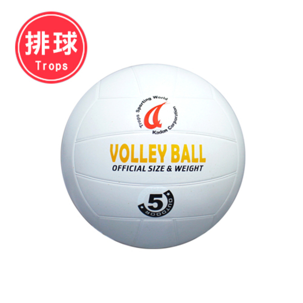 《 成功 SUCCESS 》 特波士 5號一般排球