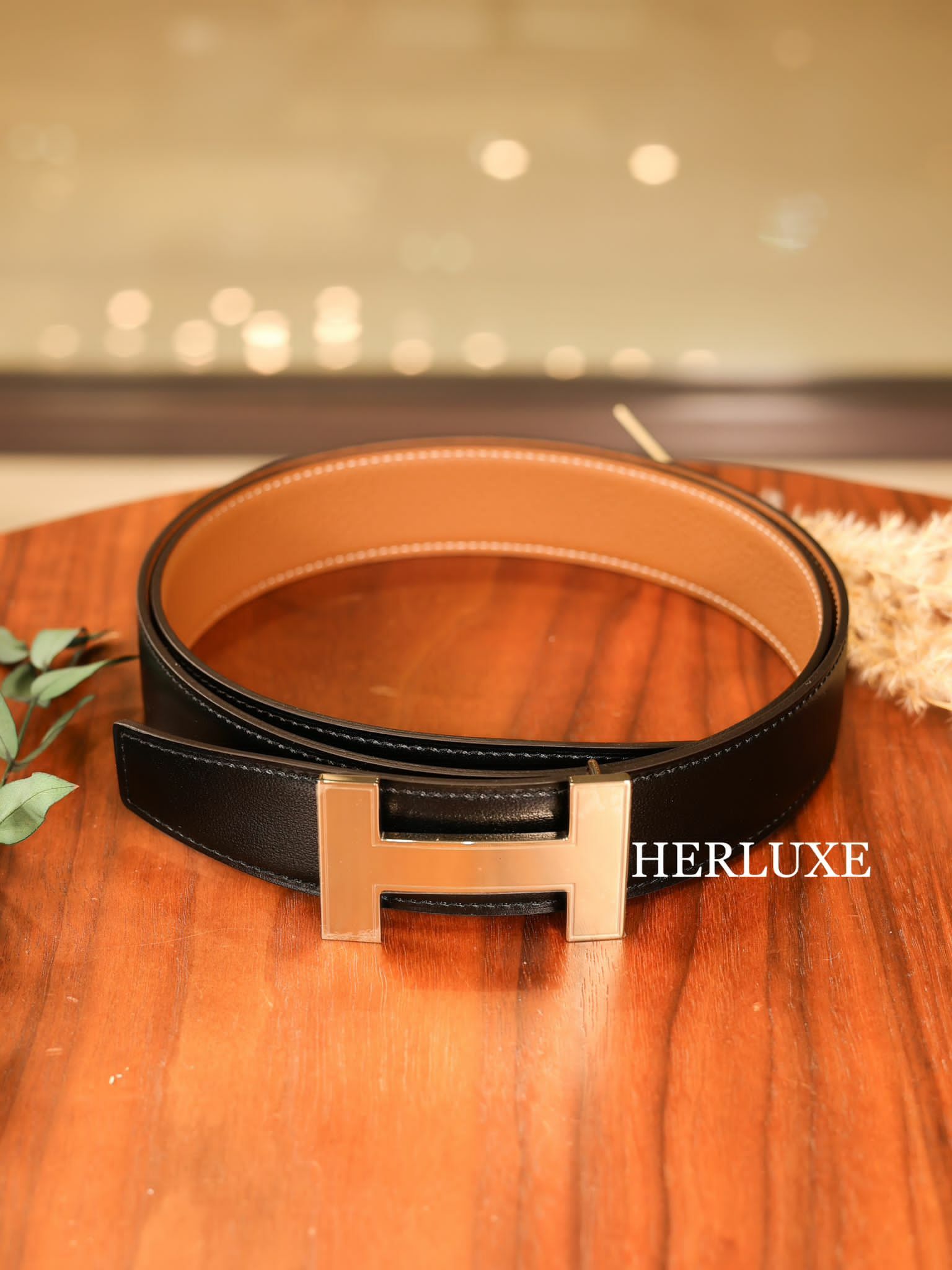 H Focus belt 32mm CP