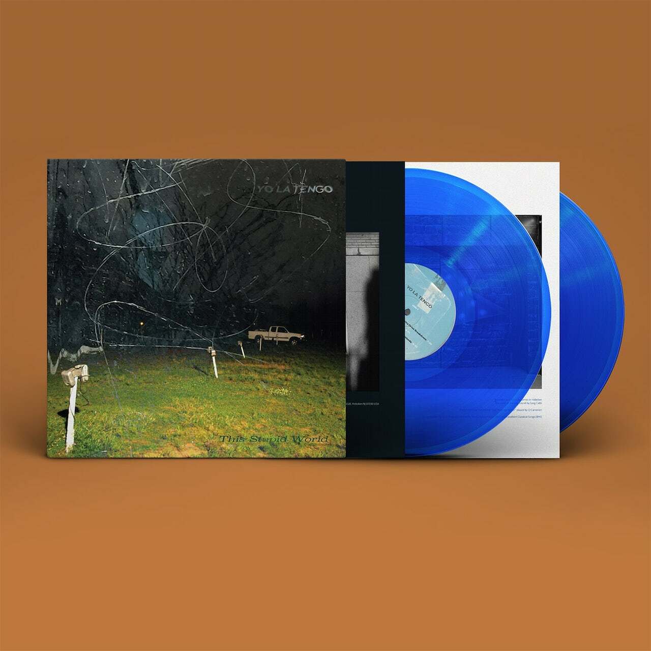Yo La Tengo《This Stupid World》（藍膠2LP）