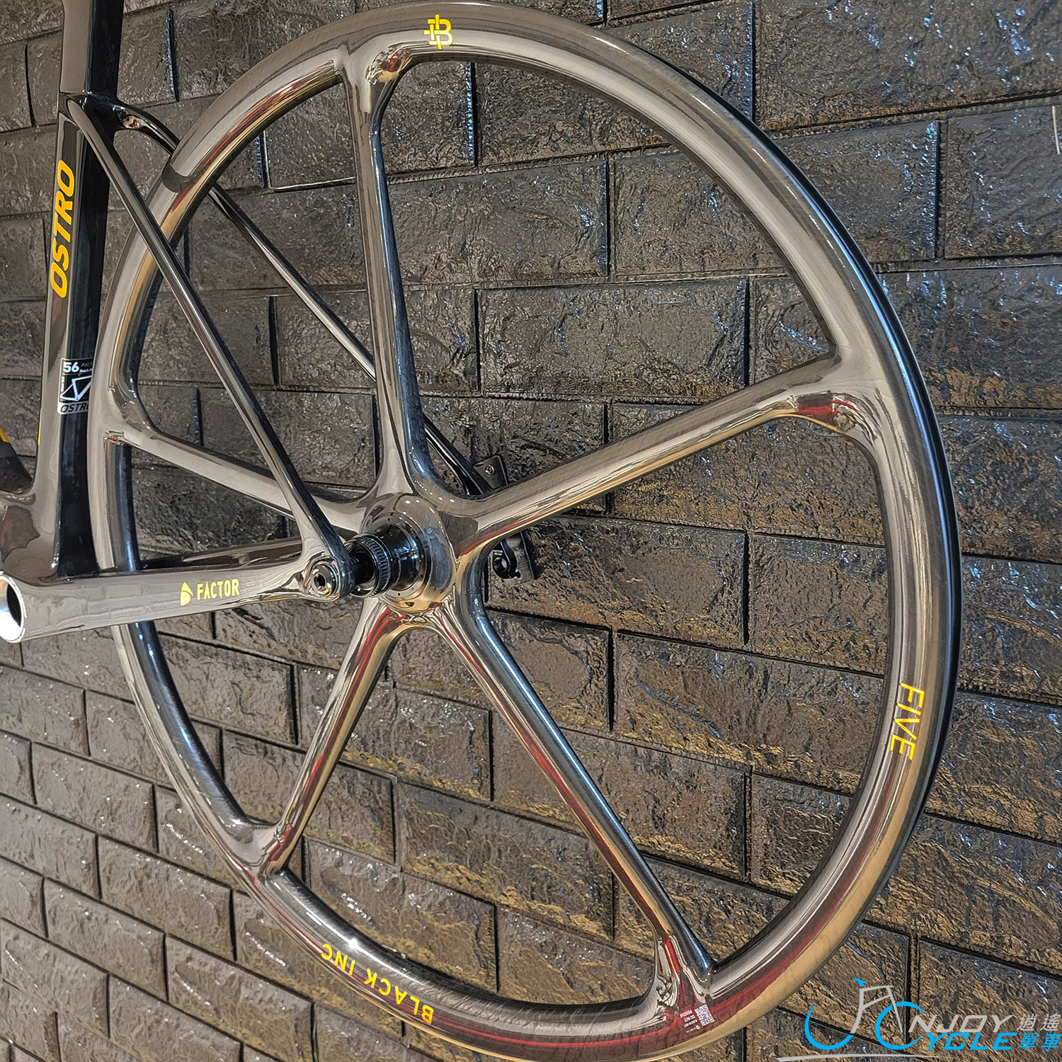 Black Inc FIVE Disc Wheelset Limited Gold Edition