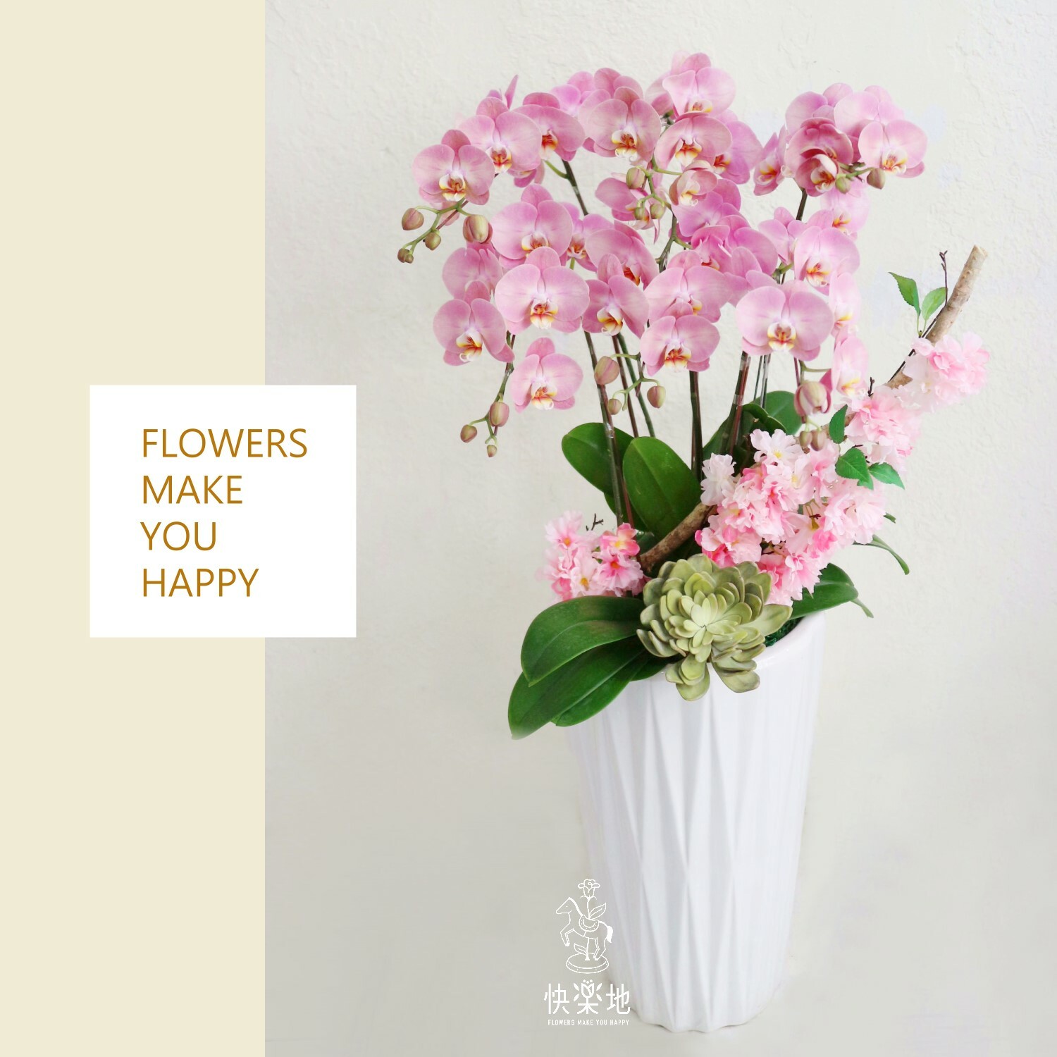 蝶舞櫻霏 I 蘭花盆栽   OS230680