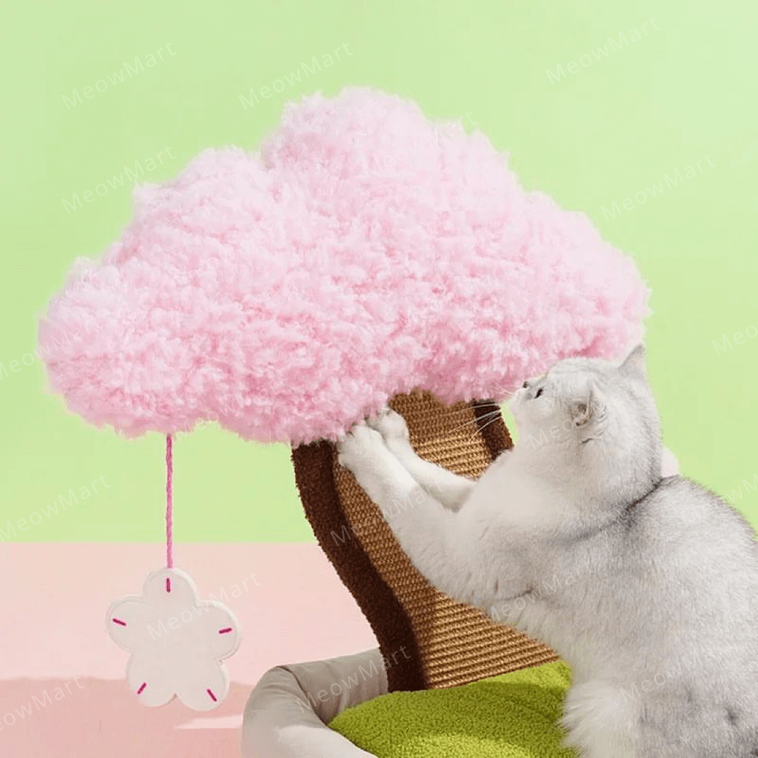 櫻花樹下寵物床