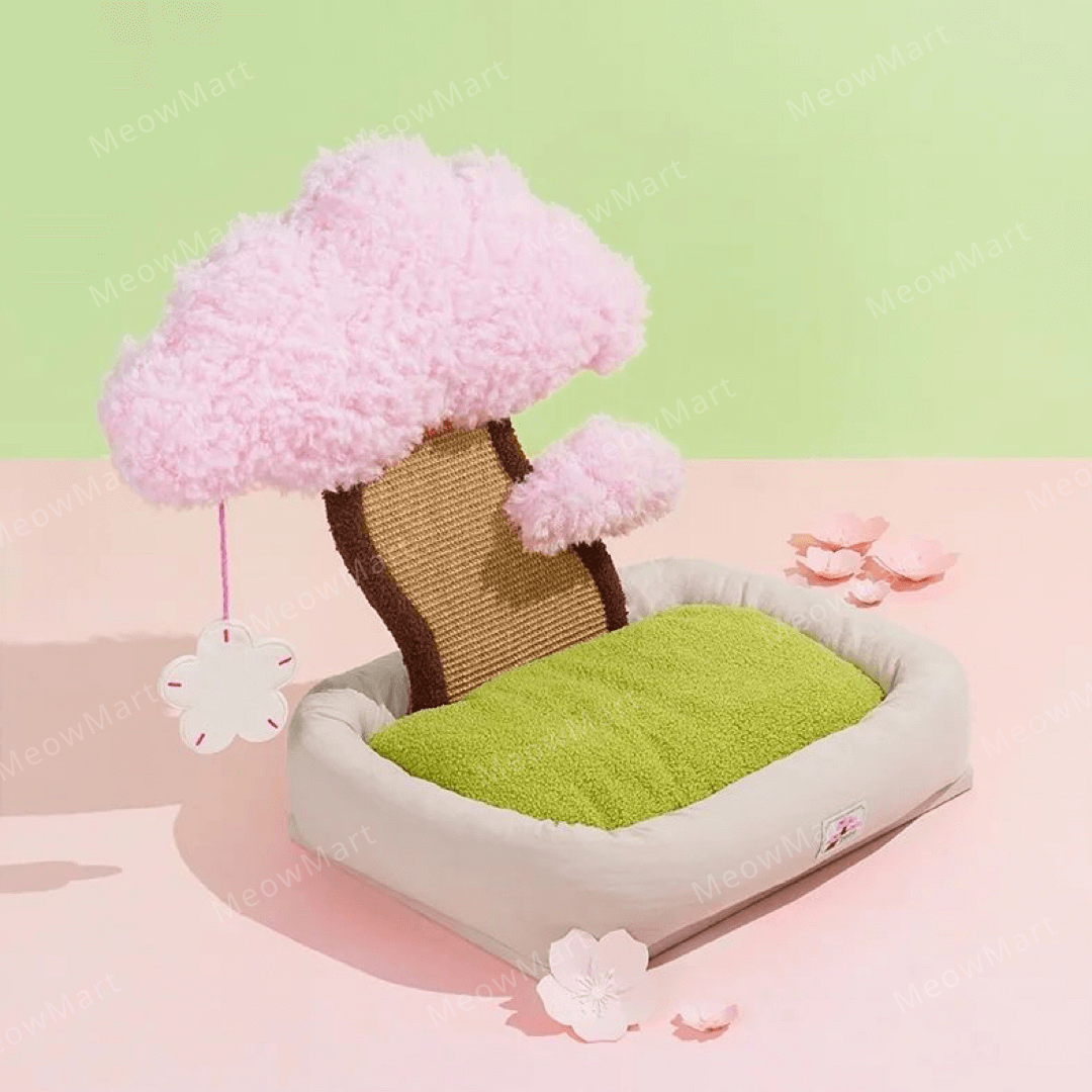 櫻花樹下寵物床