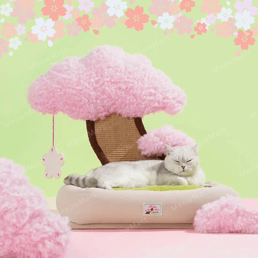 櫻花樹下寵物床