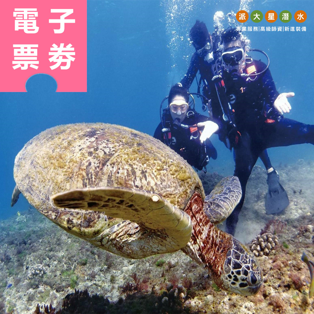 【電子票券】小琉球｜派大星潛水 體驗券 Ⓣ